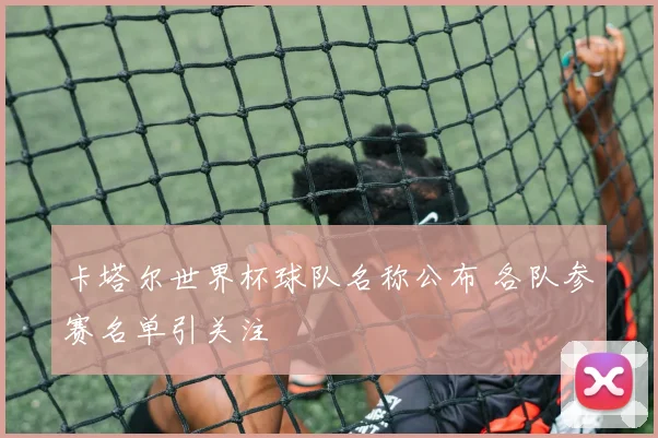 卡塔尔世界杯球队名称公布 各队参赛名单引关注