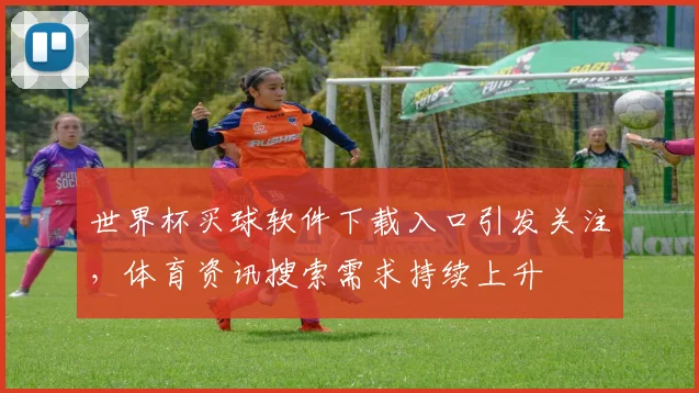 世界杯买球软件下载入口引发关注,体育资讯搜索需求持续上升