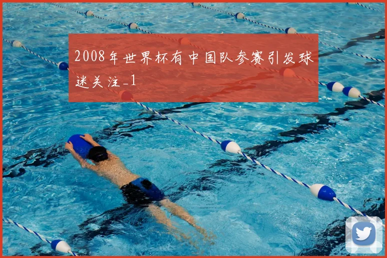 2008年世界杯有中国队参赛引发球迷关注_1